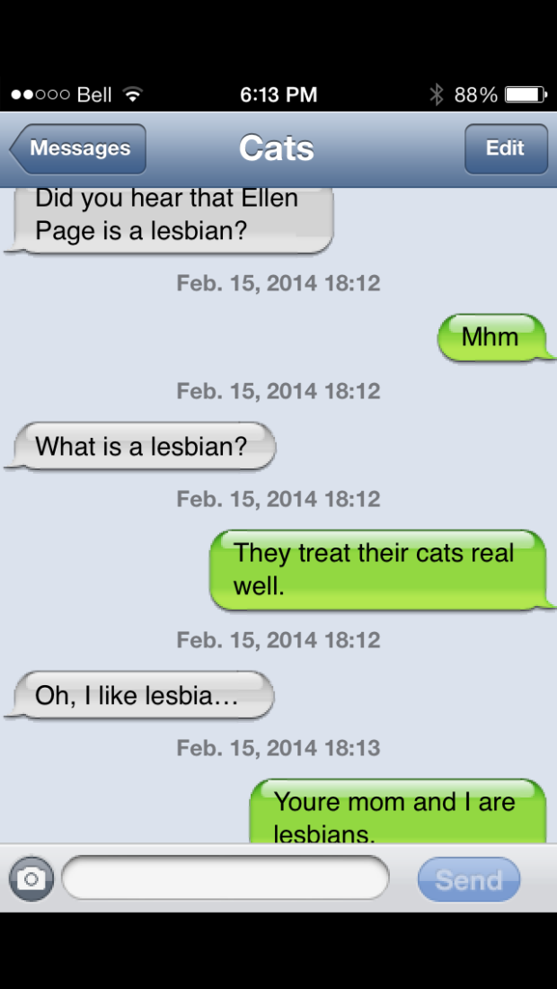 Cats on lesbians